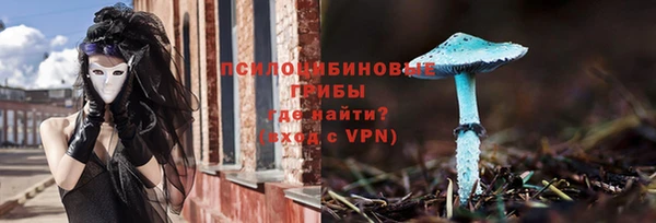 молекула духа Майский