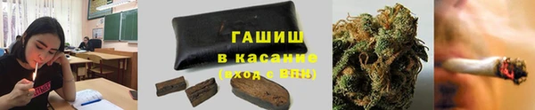 молекула духа Майский