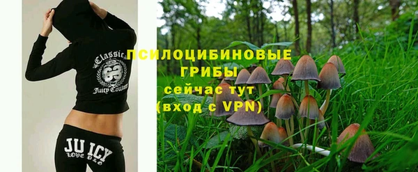 молекула духа Майский